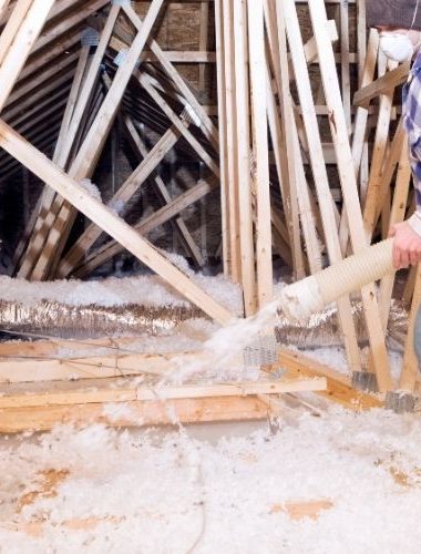 attic-insu-2
